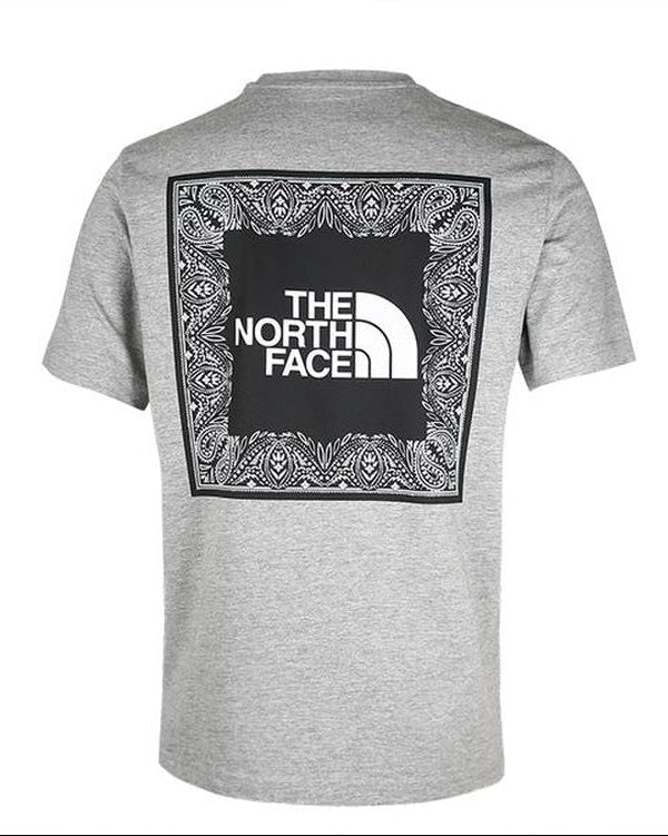The North Face Gray T Shirt Original Egypt