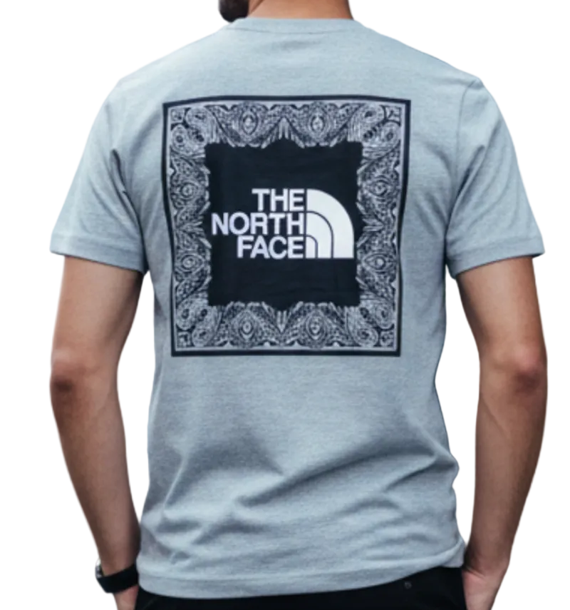 The_North_Face_Gray_T-Shirt_Original_Egypt_dc38a6f3-889c-456c-a4b7-869c1785af6b
